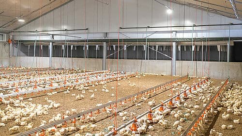 An acid air scrubber for a broiler house. Picture source: https://www.bigdutchman.com/en/poultry-growing/news/press-releases/detail/air-scrubber-pollo-m-broiler-houses/ 