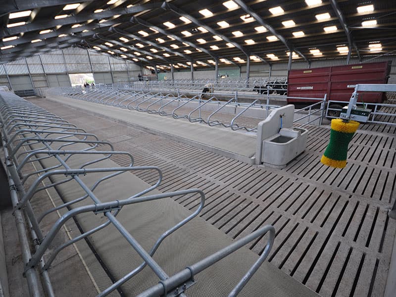 A precast concrete slatted systems for housing cattle. Picture source: https://mjharrisonsupplies.co.uk/agricultural/livestock-suspended-flooring-systems/ 