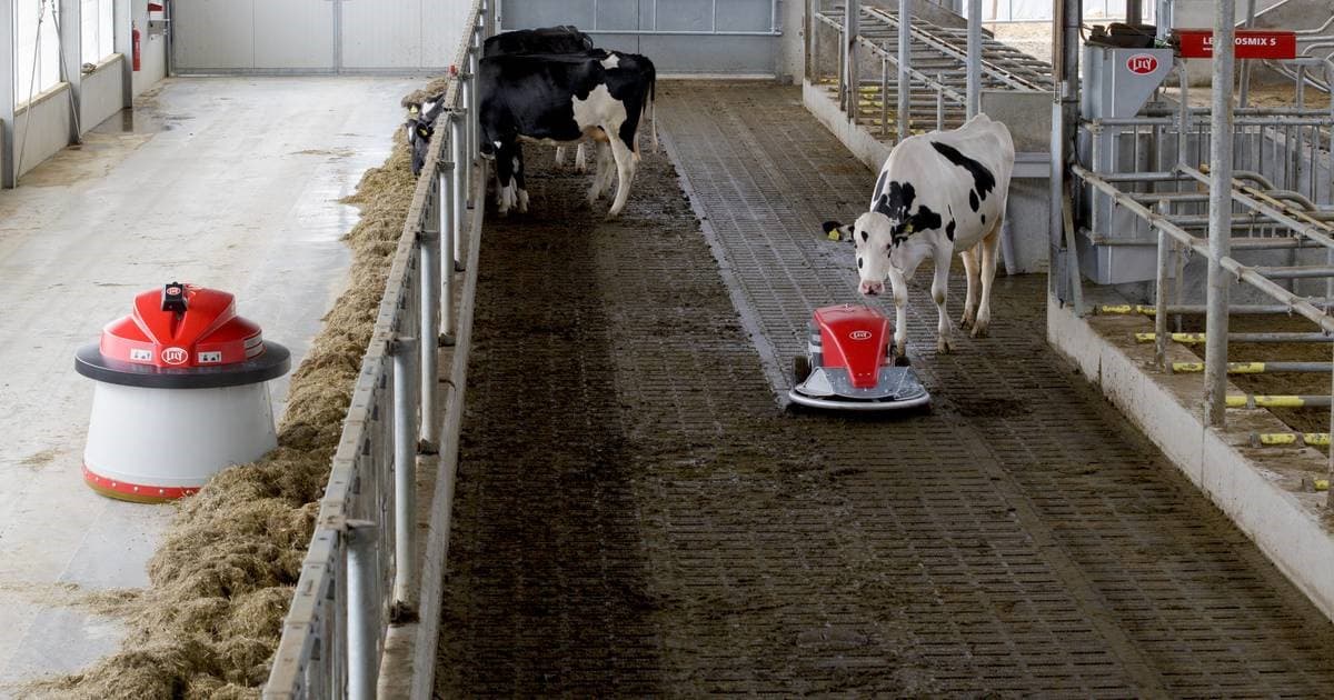 Showing Lely Discovery robotic manure cleaner (Image source: https://www.lely.com/solutions/housing-and-caring/discovery/) 